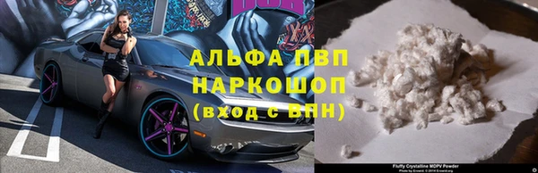 СК Тутаев