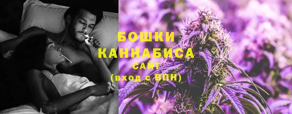 не бодяженный Туринск