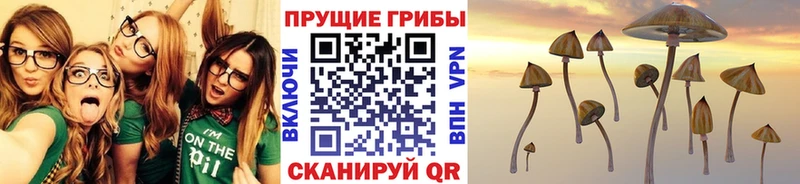 Псилоцибиновые грибы мухоморы где можно купить наркотик kraken зеркало Чердынь
